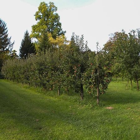 Casa Filaferro Panzió Palazzolo dello Stella Kültér fotó