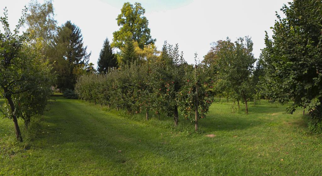 Casa Filaferro Panzió Palazzolo dello Stella Kültér fotó